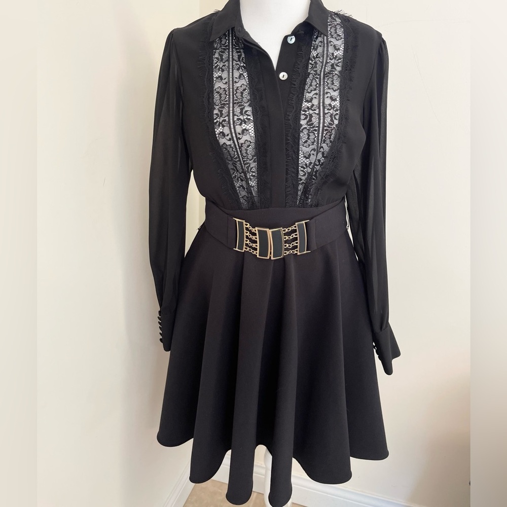 Stunning Sonia Fortuna lace inset fit and flare dress!